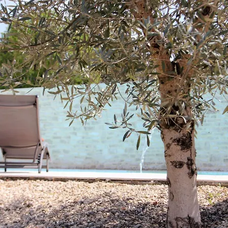 Superb With Private Pool Willa